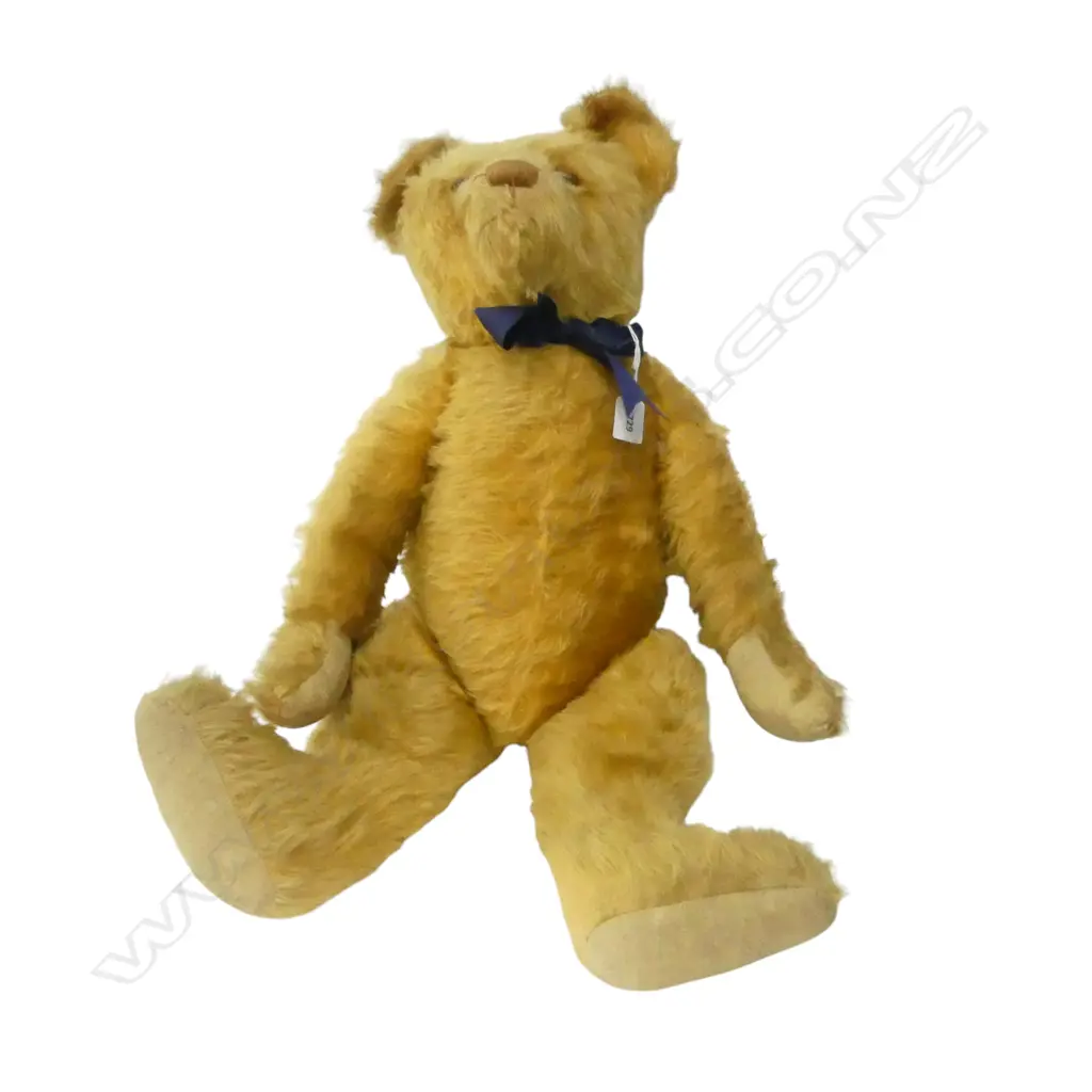 LG TEDDY BEAR H.700mm Image 1++