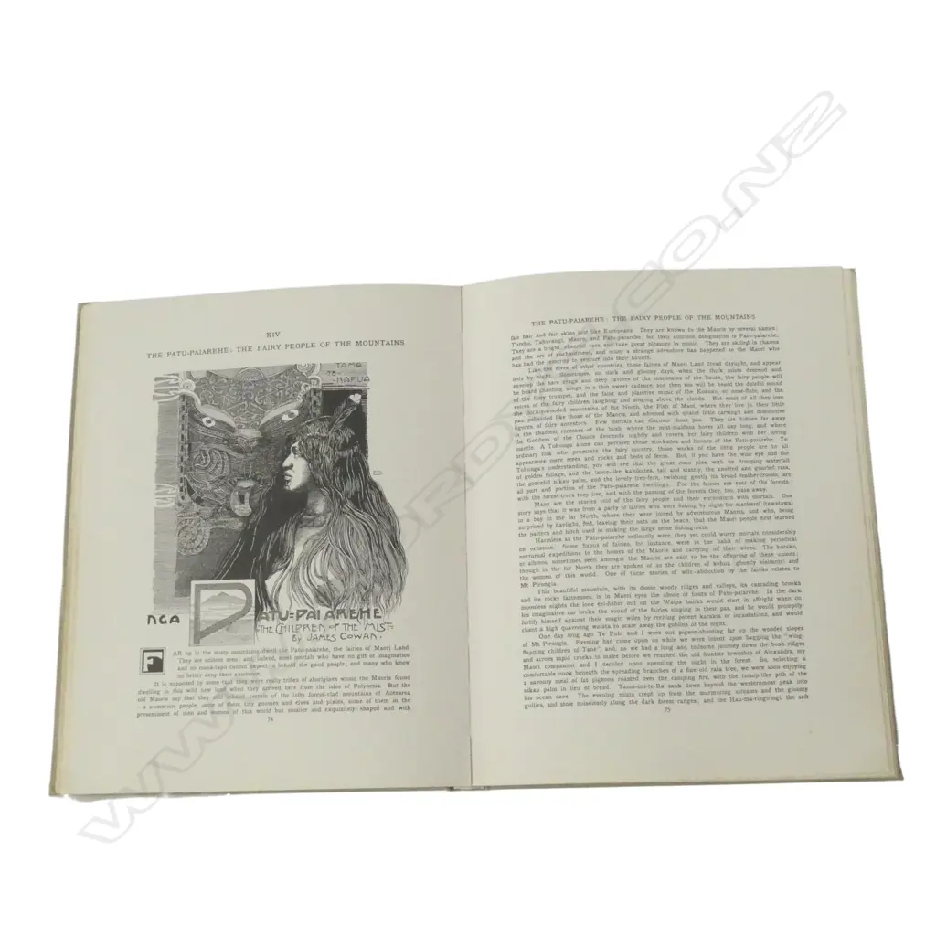 TE TOHUNGA - THE ANCIENT LEGENDS AND TRADITIONS OF THE MAORIS BOOK Image 1++