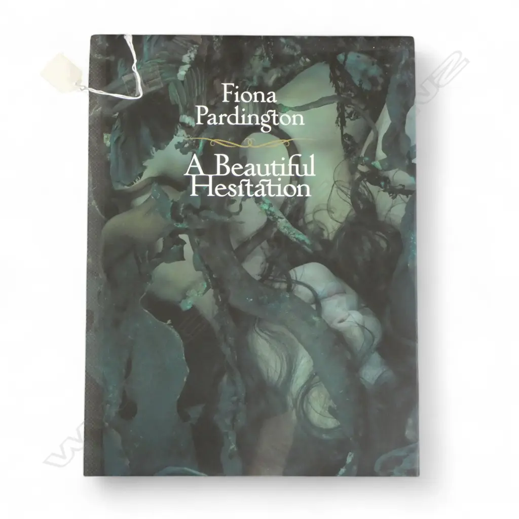 ART BOOK; FIONA PARDINGTON: A BEAUTIFUL HESITATION, VICTORIA UNIVERSITY PRESS 340x255mm Image 1++