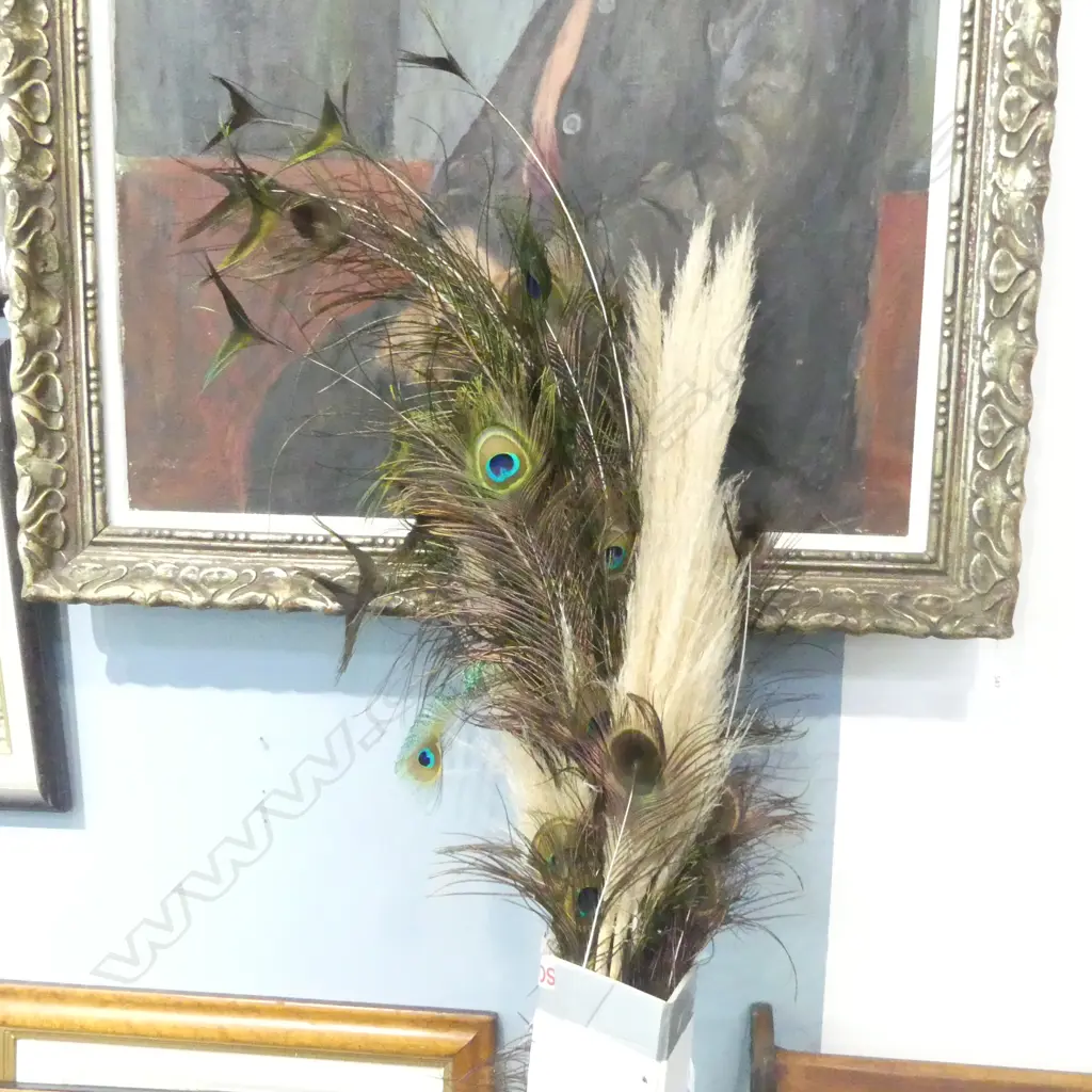 PEACOCK TAIL FEATHERS L.1600mm Image 1++