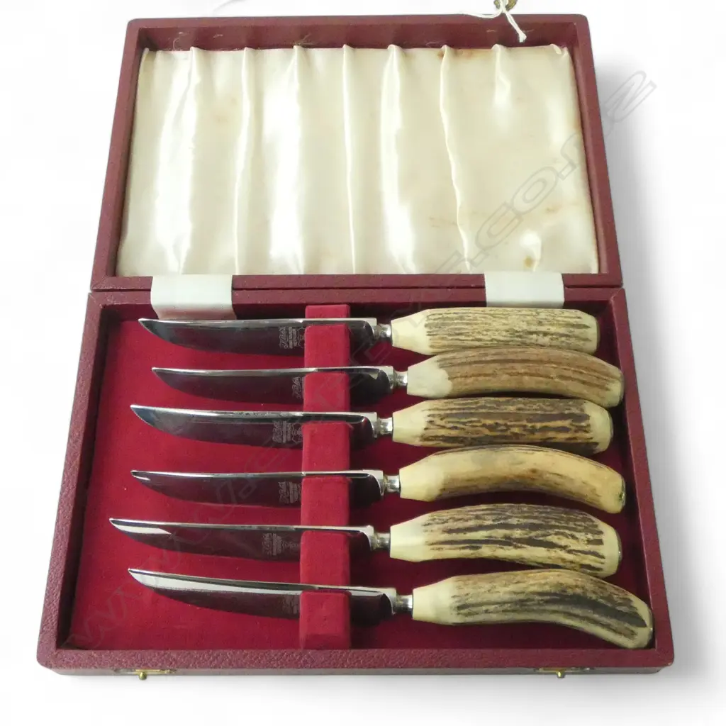  SET OF SIX BONE HANDLE KNIVES [CASED] Image 1++
