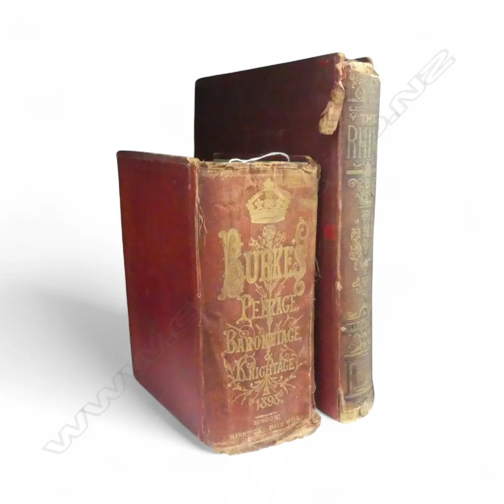 THE RHINE ILLUSTRATED + DICTIONARY OF THE PEERAGE AND BARONETAGE  Image 1++