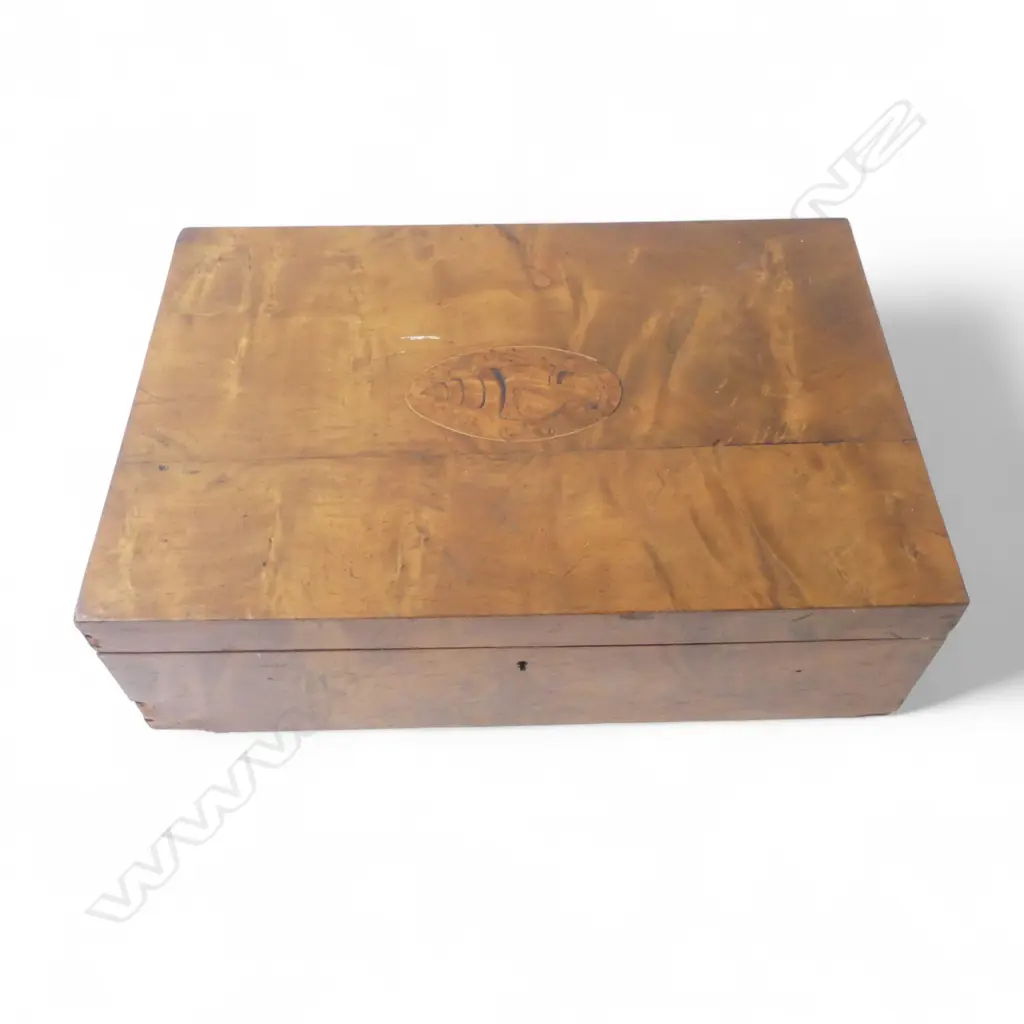 KAURI DEED BOX 455x305x140mm veneer losses Image 1++