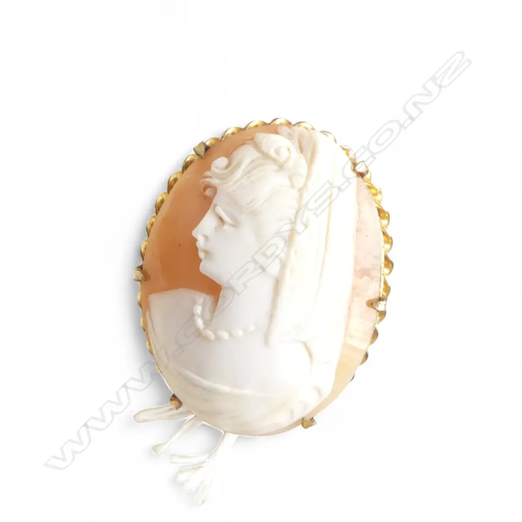 9ct GOLD LINED MOUNTED CARVED SHELL CAMEO BROOCH Image 1++