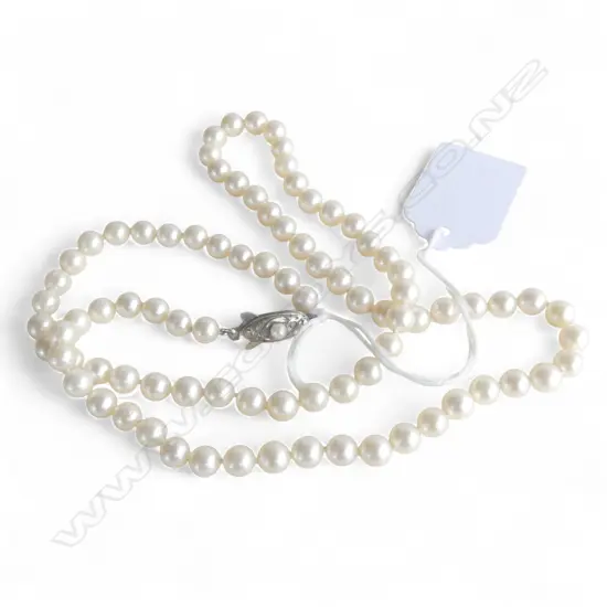PEARL NECKLACE w. STG SILVER CLASP L.585mm