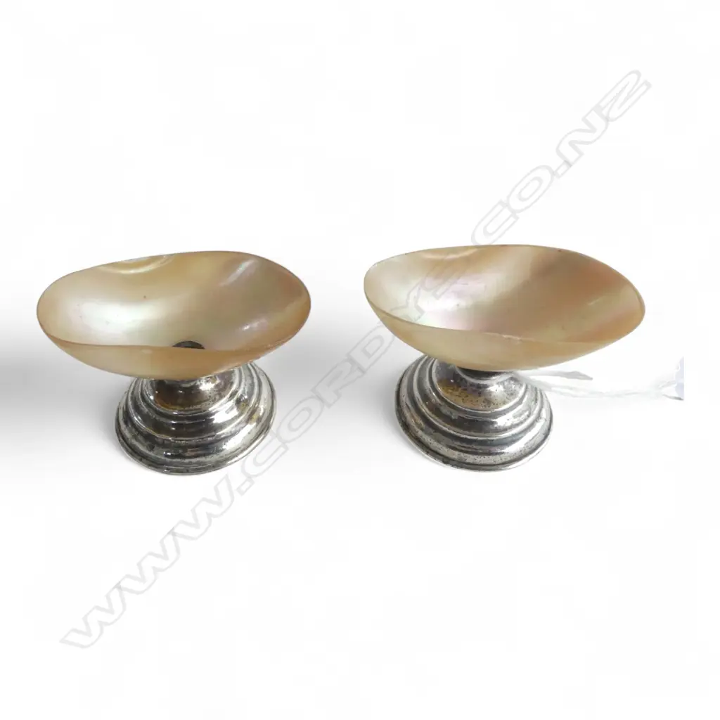 PR MoP SHELL & STG SILVER SALTS H.35mm Image 1++