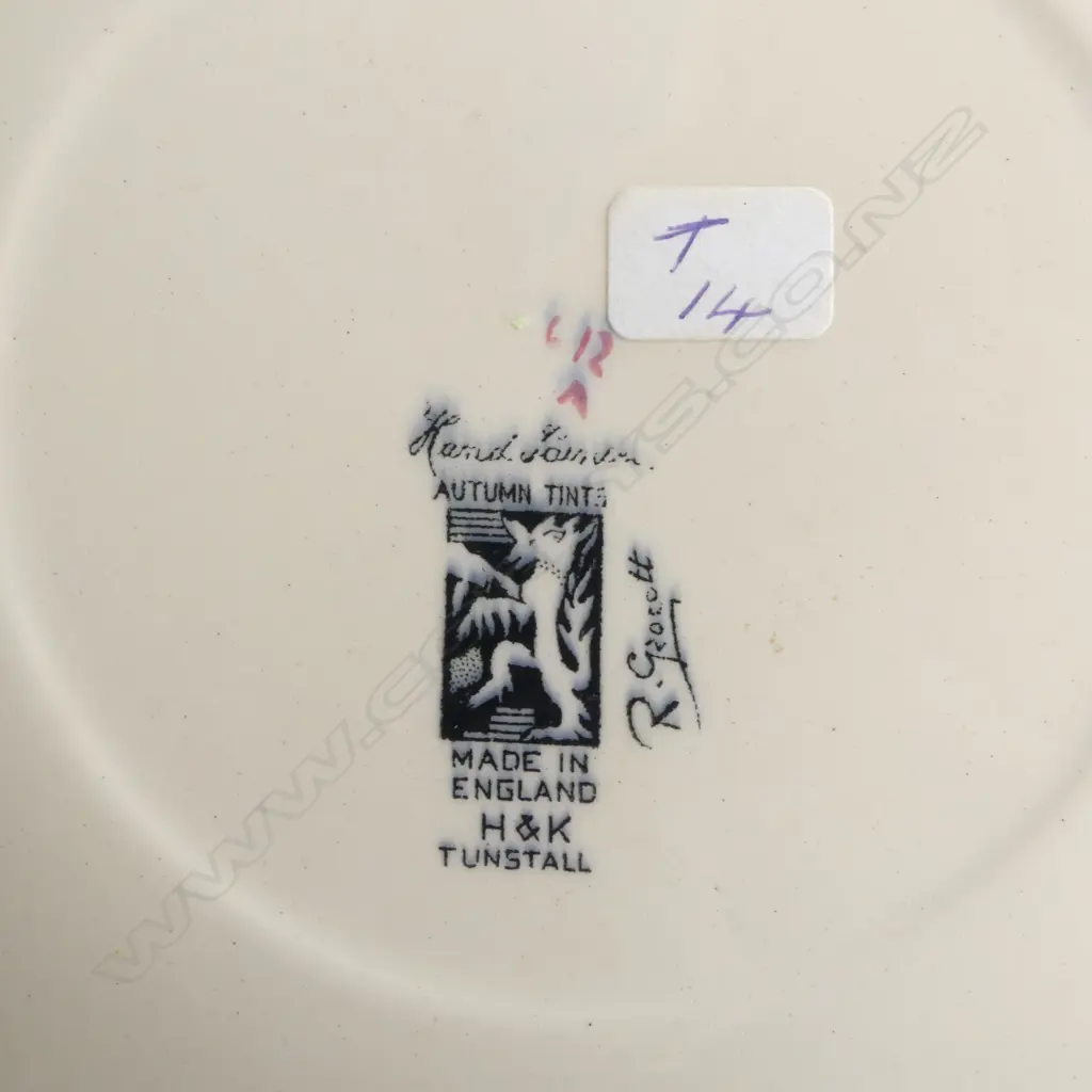 17 PCES TUNSTALL CHINA; VIOLA, IRIS, FANTASY, AUTUMN TINTS ETC, LARGEST 290mm dia Image 1++