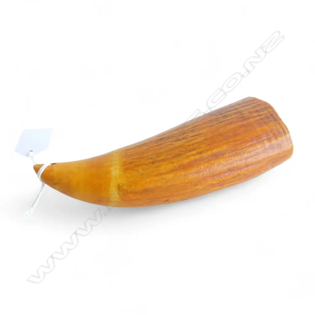 FIJIAN TABUA w. SUSPENSION HOLE L.145mm Image 1++