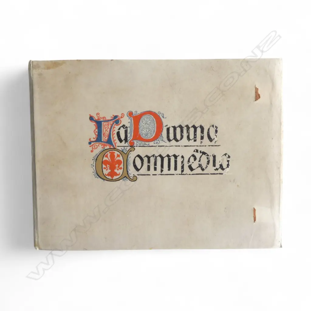 THE VINTAGE BOOK 'LA DIVINA COMEDIA' The Divine Comedy by Dante. Published 1902 Milan: Attilio Razzolini. 200 x 150mm Image 1++