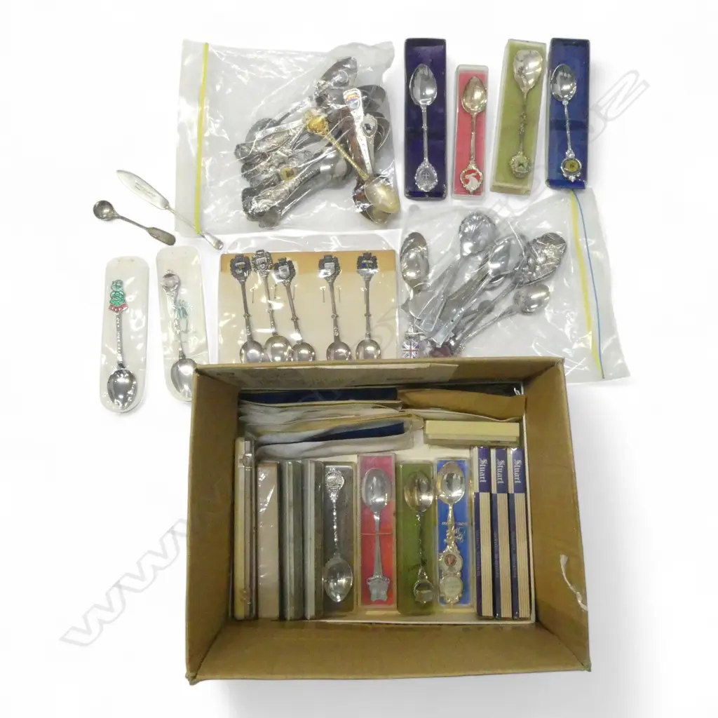 ASST. SOUVENIR SPOONS CASED & LOOSE Image 1++