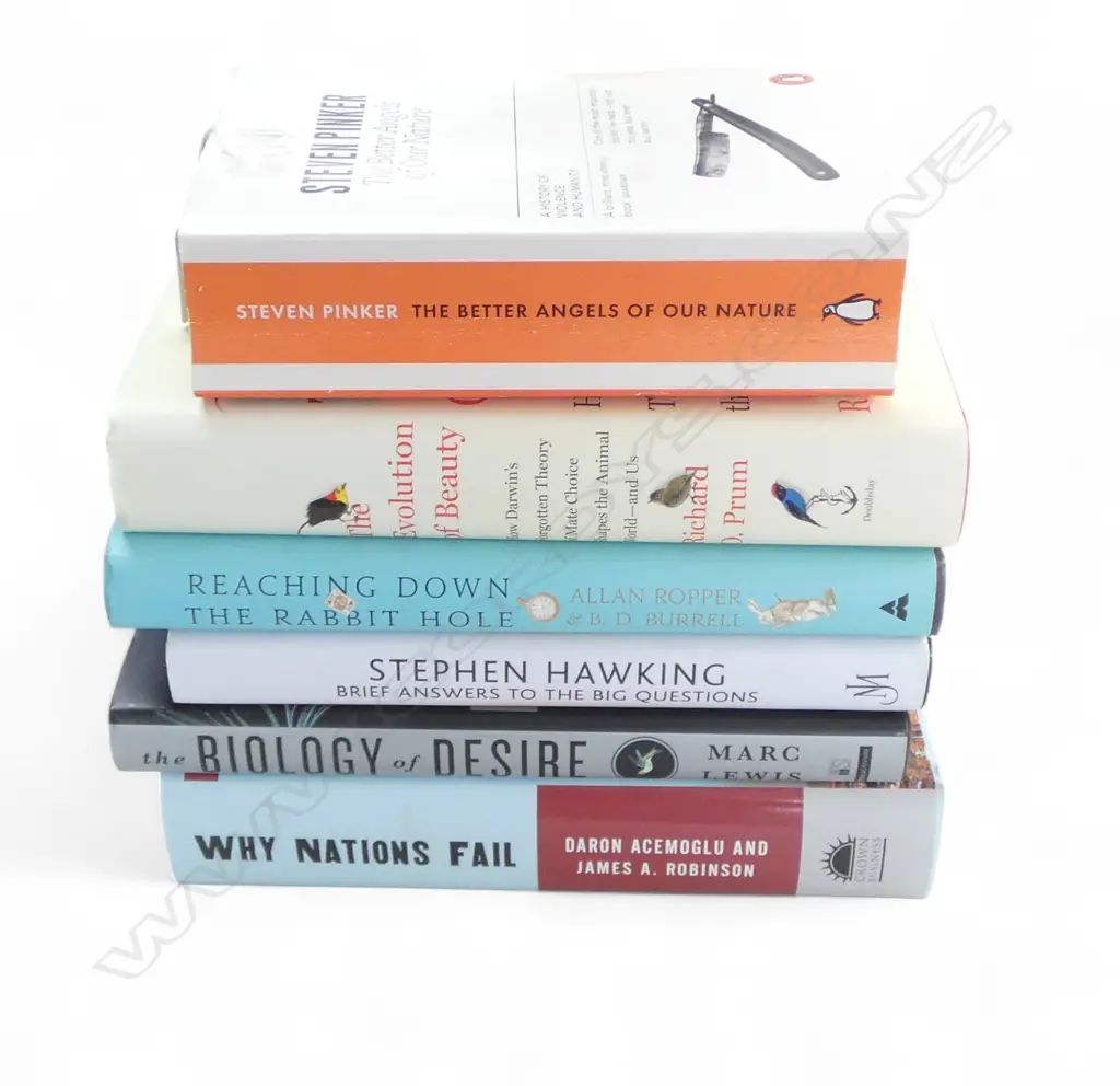A GROUP OF NON FICTION BOOKS INCL STEPHEN HAWKING Image 1++