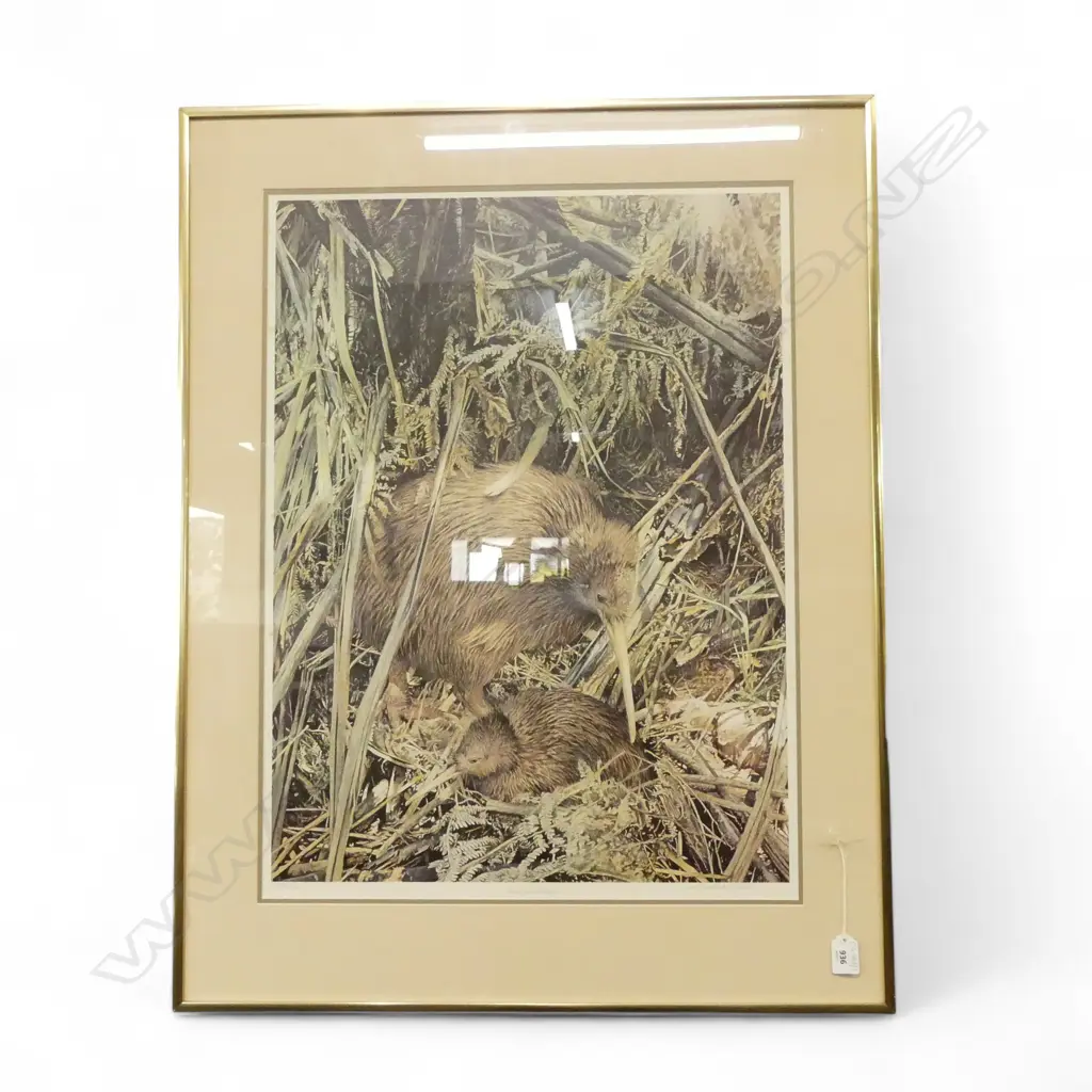 RAYMOND CHING, KIWI AND CHICK, SIGNED PRINT 68/850 670x495mm Image 1++