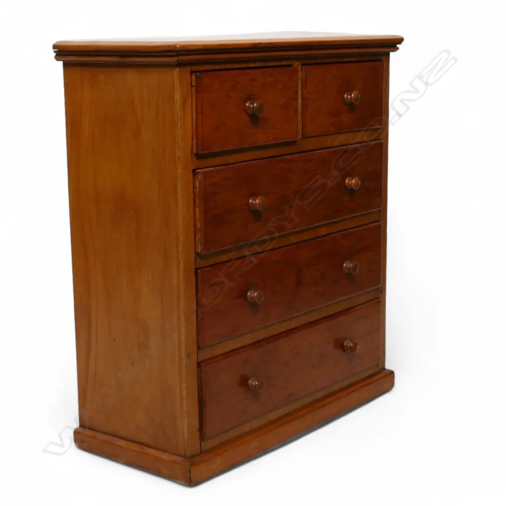 An early 20thC New Zealand colonial small / miniature collector's chest, Image 1++