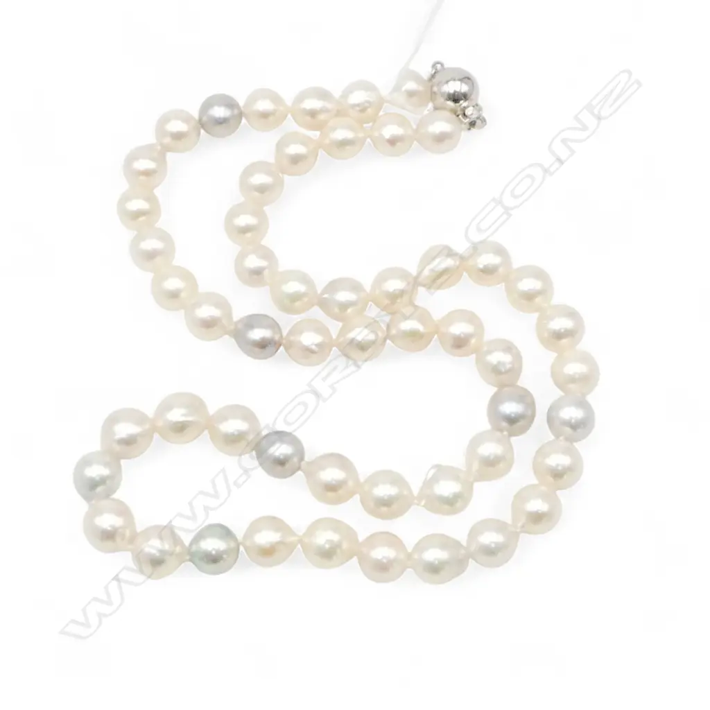 14CT WHITE GOLD CLASP AND PEARL NECKLACE Image 1++