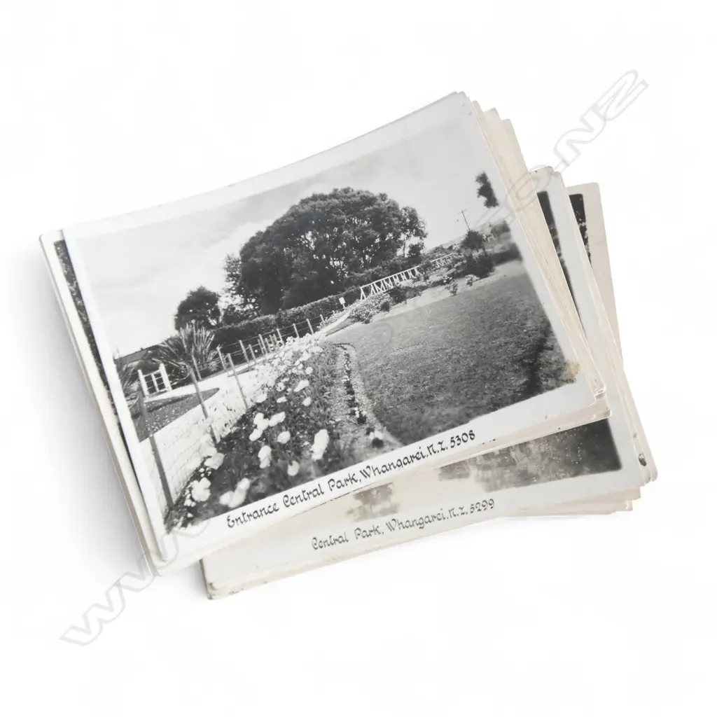 COLLECTION OF EARLY N.Z. PHOTOGRAPHS; WAIKATO, NELSON, WHANGAREI etc Image 1++