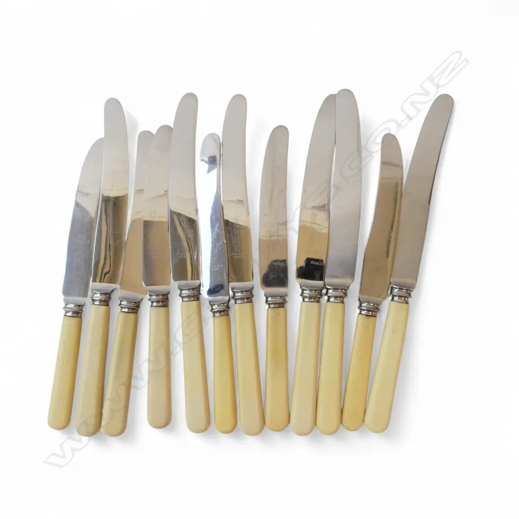 12 VINTAGE ‘BONE’ HANDLE KNIVES SHEFFIELD 6 DINNER & 6 LUNCH, L.235MM L.210MM Image 1++