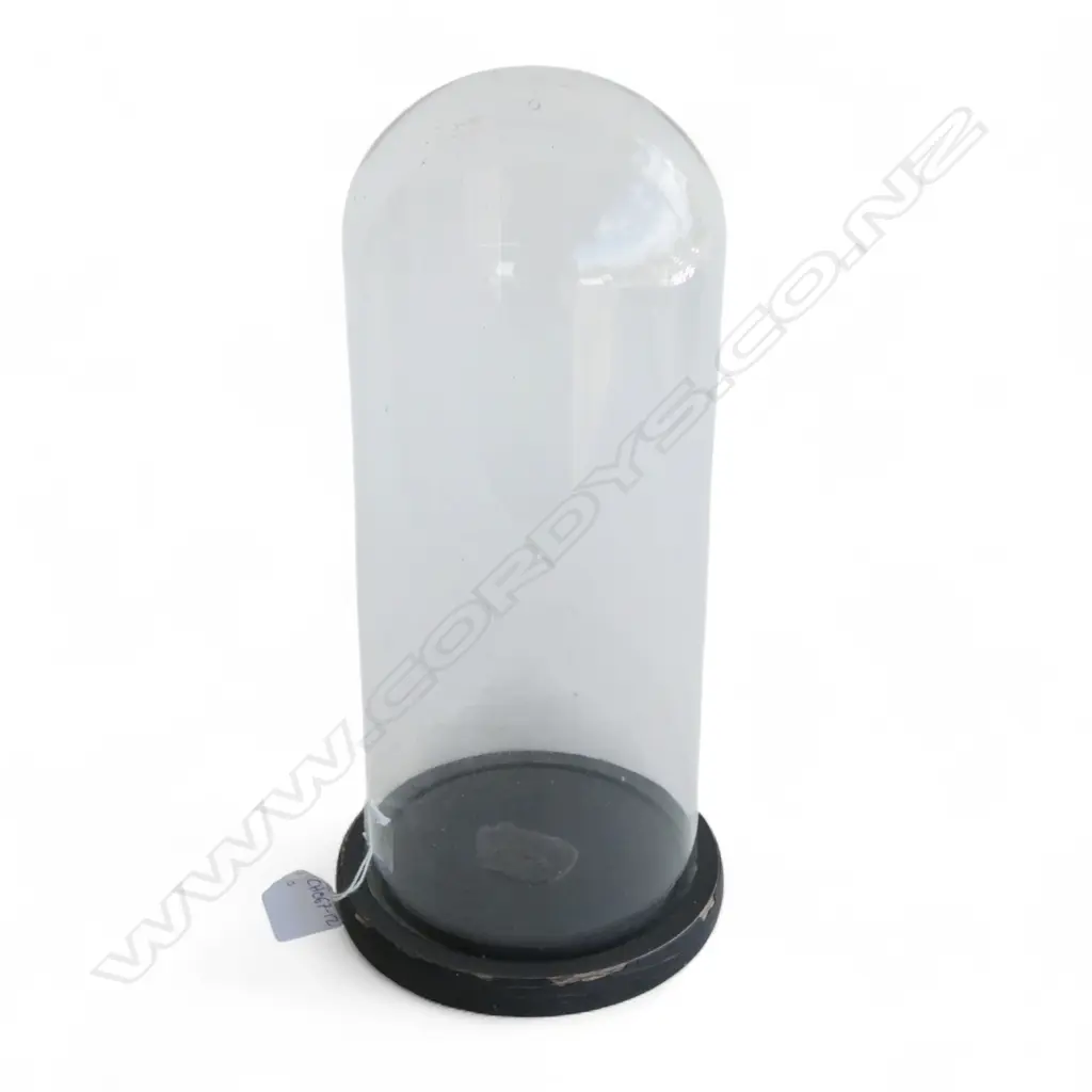 VINTAGE GLASS CLOCHE H.320mm Image 1++