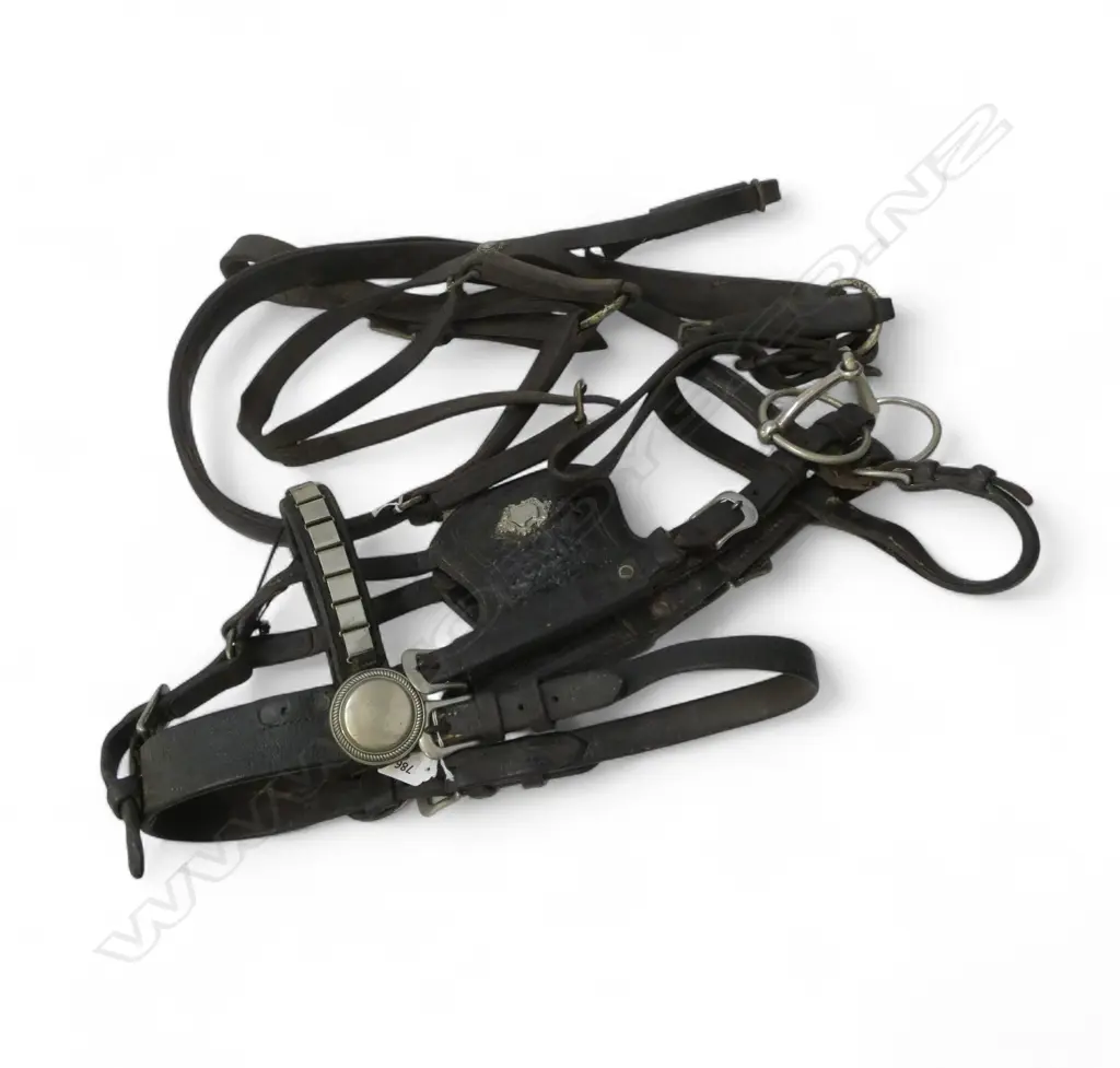 SET OF VINTAGE DRAUGHT HORSE HEAD RIENS BLINKERS L870 & COLLAR  L870MM Image 1++