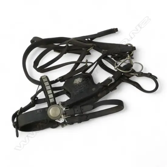 SET OF VINTAGE DRAUGHT HORSE HEAD RIENS BLINKERS L870 & COLLAR  L870MM
