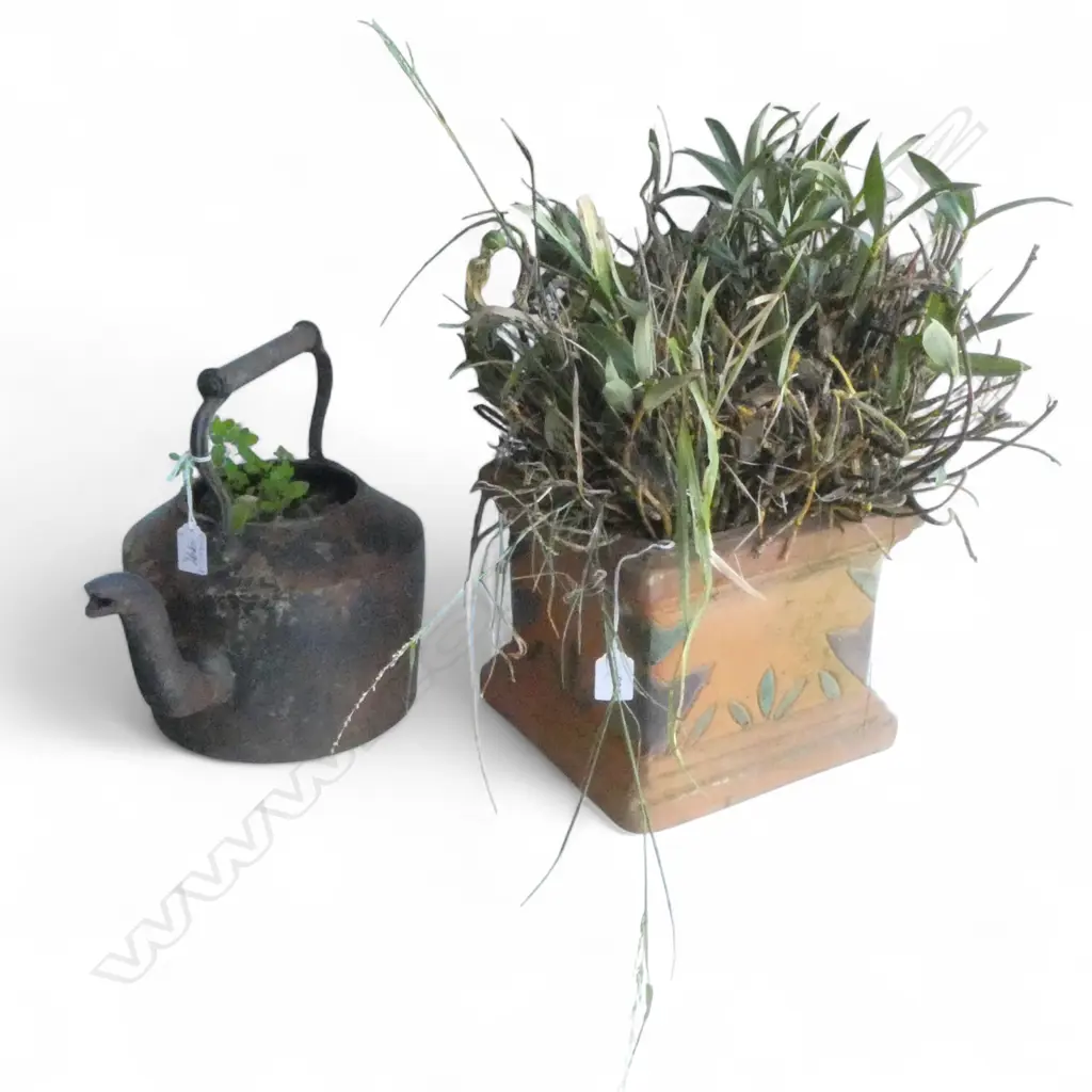 PLANTED CAST IRON TEAPOT + PLANTED SQUARE TERRACOTTA POT H.195mm Image 1++