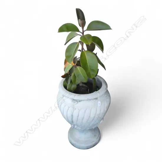 2 CONCRETE GARDEN URNS floral decoration, one planted H.620mm