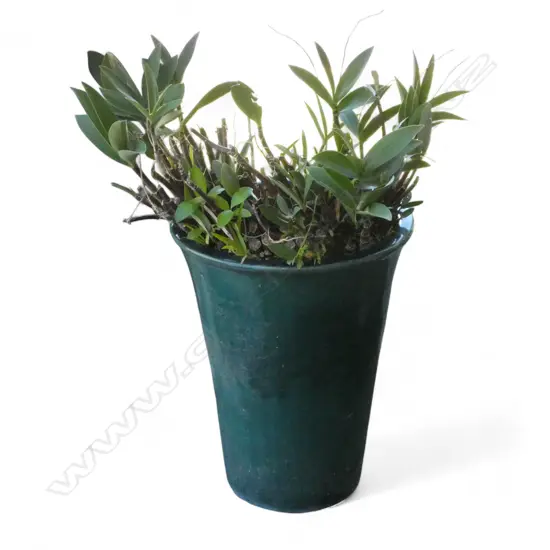 TALL PLANTED GREEN GLAZE GARDEN POT H.540mm