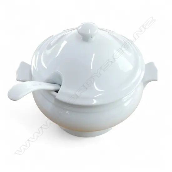 BOXED STEVENS SERVE 3L SOUP TUREEN WITH LADLE