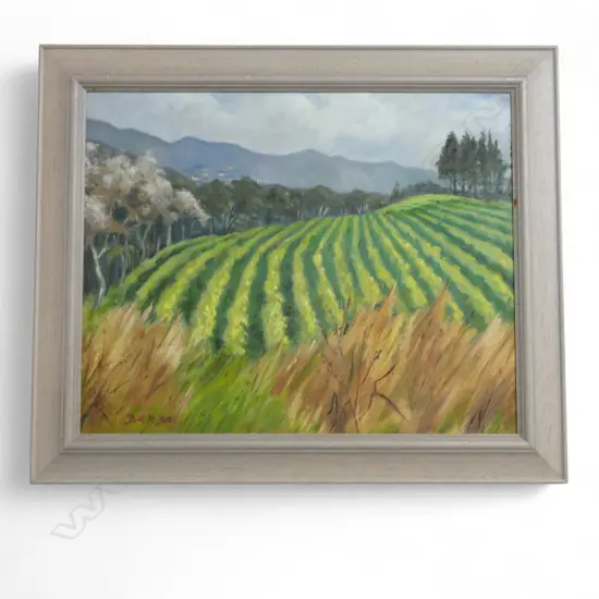 DORIS M. DUTCH (1926-2012) 'SUMMER VINEYARDS, ORATIA' OIL ON BOARD 395x495mm SIGNED