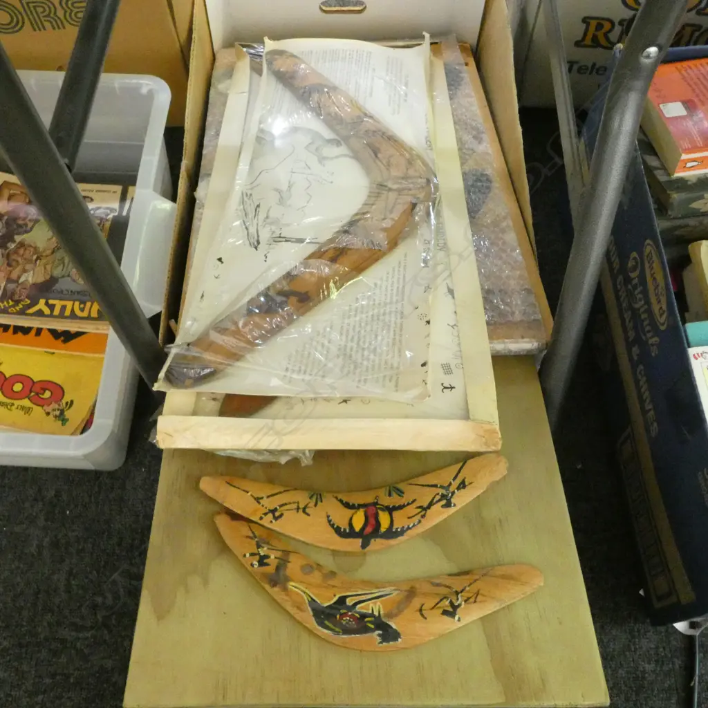 BOOMERANGS ETC Image 1++