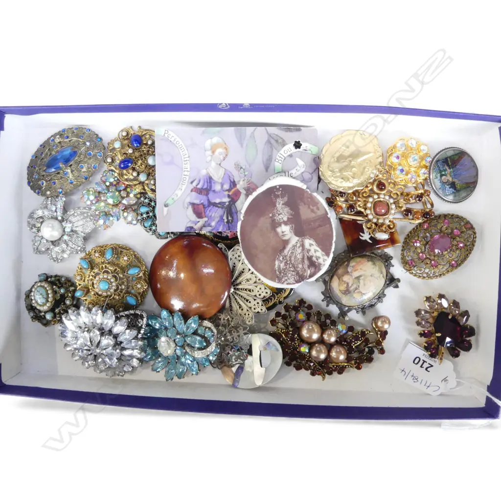 ASST. COSTUME BROOCHES Image 1++