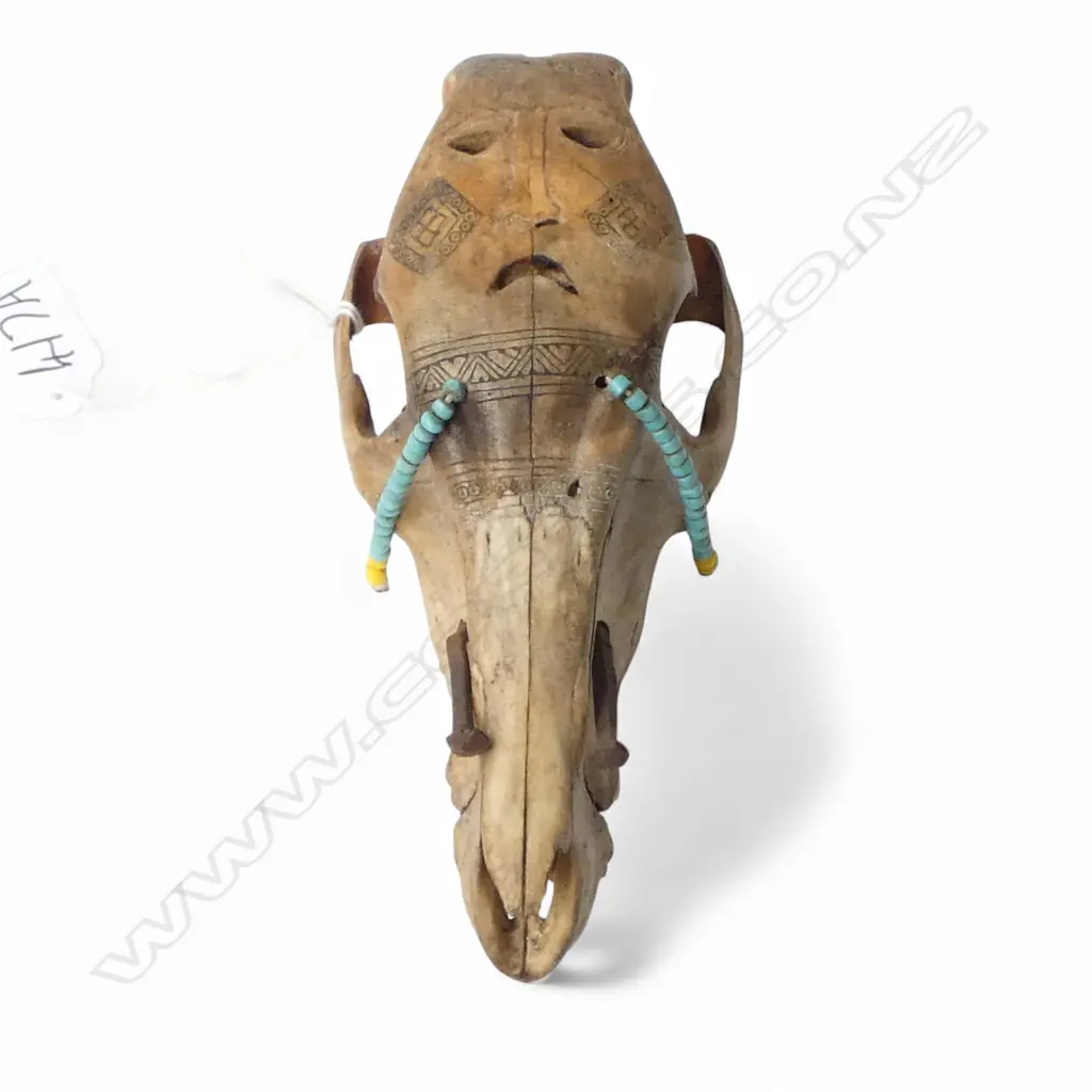 DECORATED ANIMAL SKULL L.180mm Image 1++