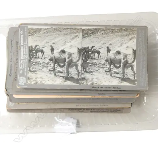 27 ANTIQUE STEREOVIEW CARDS PALESTINE AND JERUSALEM 
