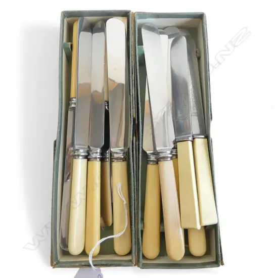 12 IVORINE 'BONE' HANDLED KNIVES, IN 2 BOXES