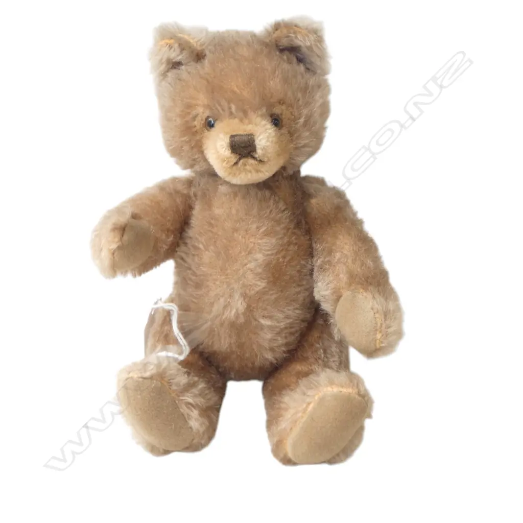 STEIFF ORIGINAL TEDDY BEAR BUTTON ABSENT, L.240MM Image 1++