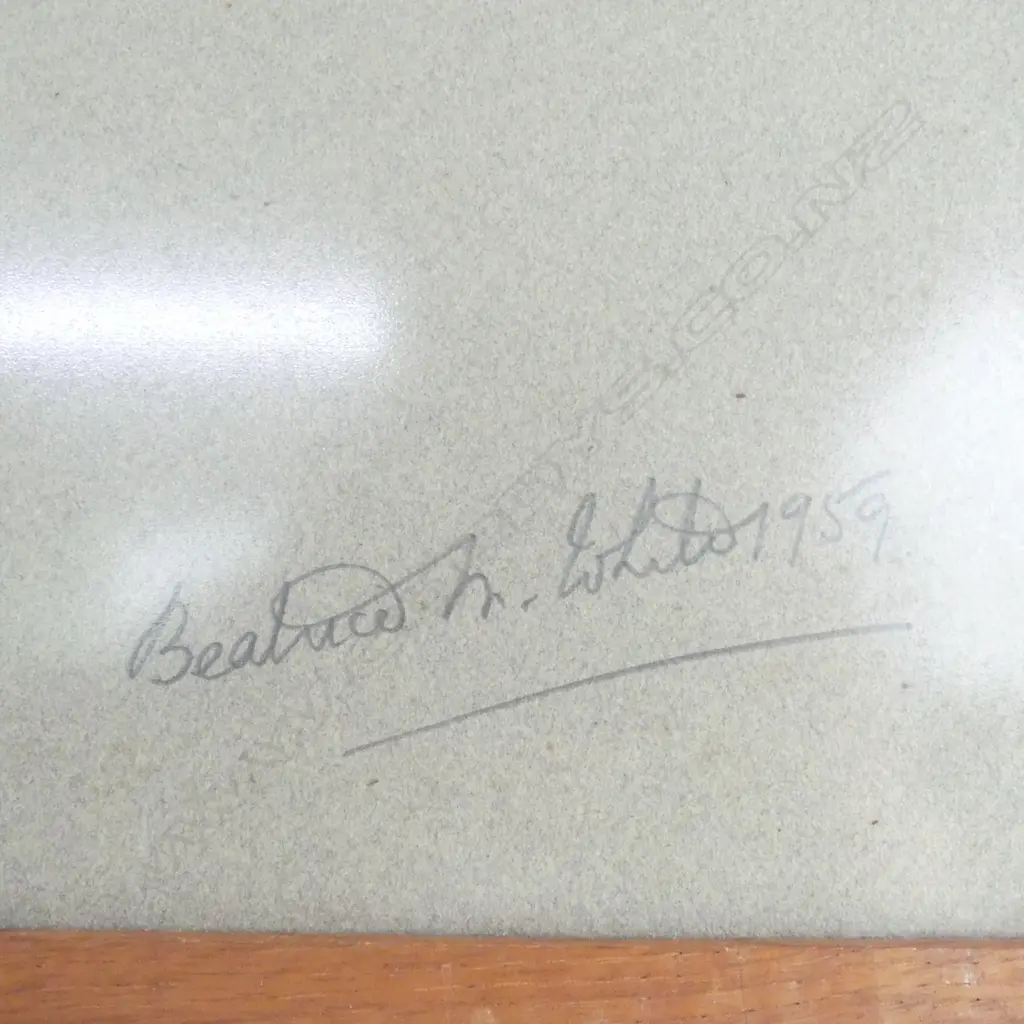 BEATRICE WHITE, DOG PORTRAIT, PASTEL ON PAPER 425x310mm, SIGNED & DATED 1959 Image 1++