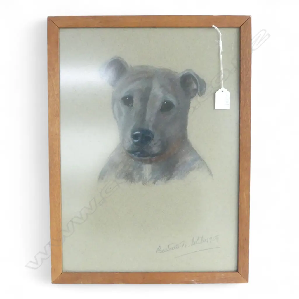 BEATRICE WHITE, DOG PORTRAIT, PASTEL ON PAPER 425x310mm, SIGNED & DATED 1959 Image 1++