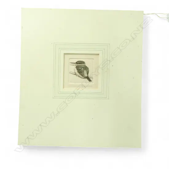 RUSSELL JACKSON (NZ b.1947) 'N.Z. KINGFISHER' ETCHING 13/80 70x70mm SIGNED & DATED '82 