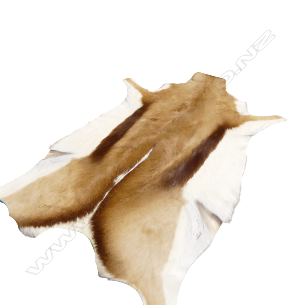 SPRINGBOK HIDE 1150x750mm Image 1++