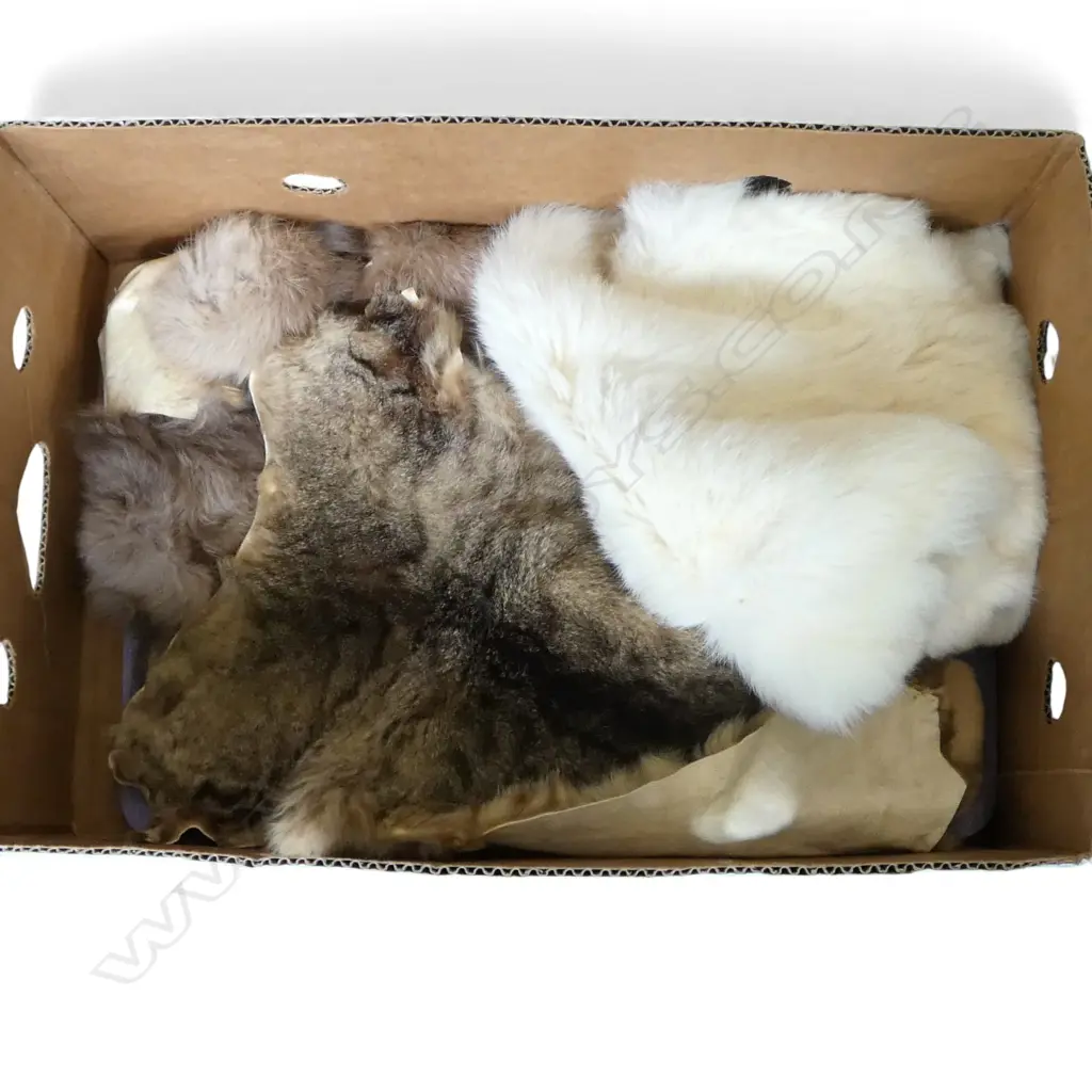 ASST. FOX FURS Image 1++