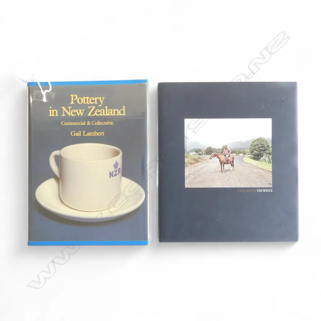 2 BOOKS; TRUE NORTH by TIME WHITE & POTTERY IN NEW ZEALAND by GAIL LAMBERT Image 1++