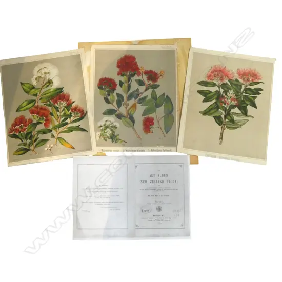 3 BOOKPLATES FROM 'THE ART ALBUM OF NEW ZEALAND FLORA..', No.37, 36 & 35