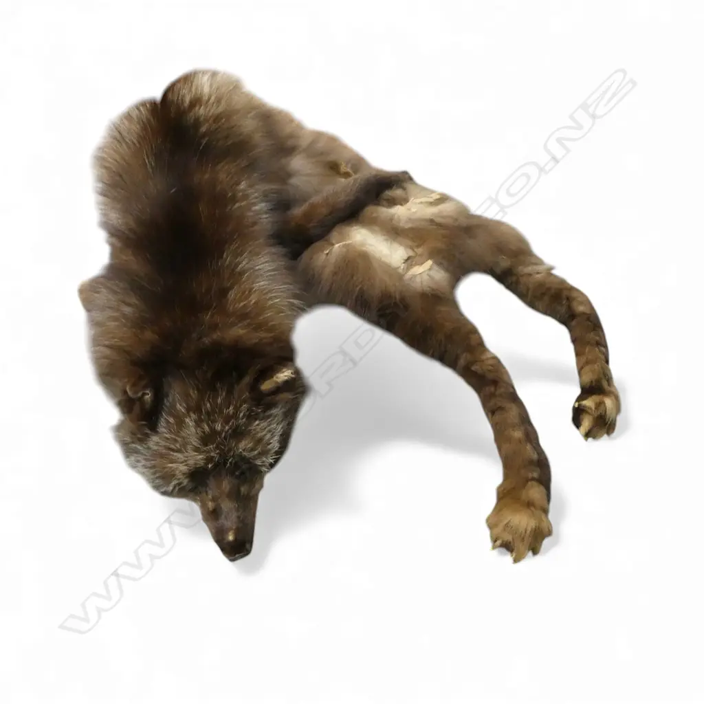 FUR STOLE Image 1++