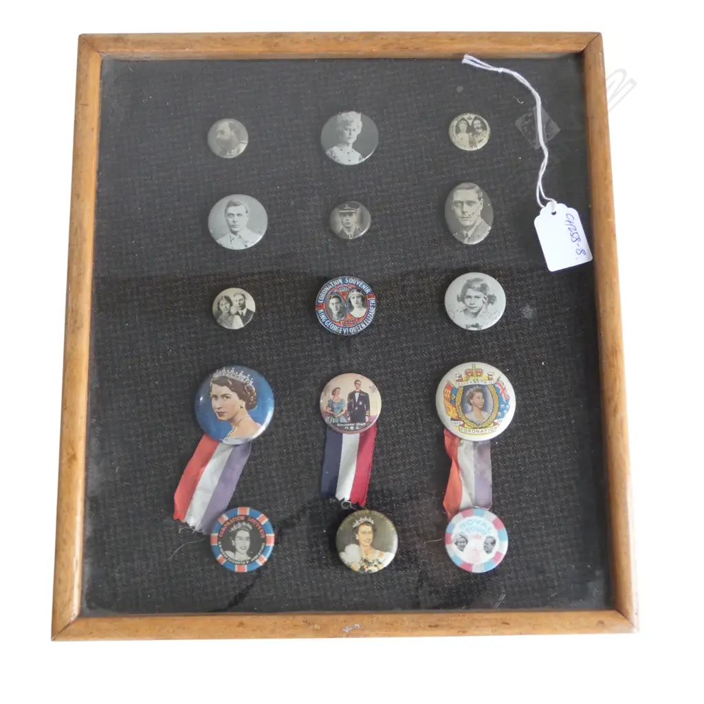 FRAMED & glazed DISPLAY OF 15 VINTAGE ROYALITY BUTTON BROOCHES: QEII ETC Image 1++