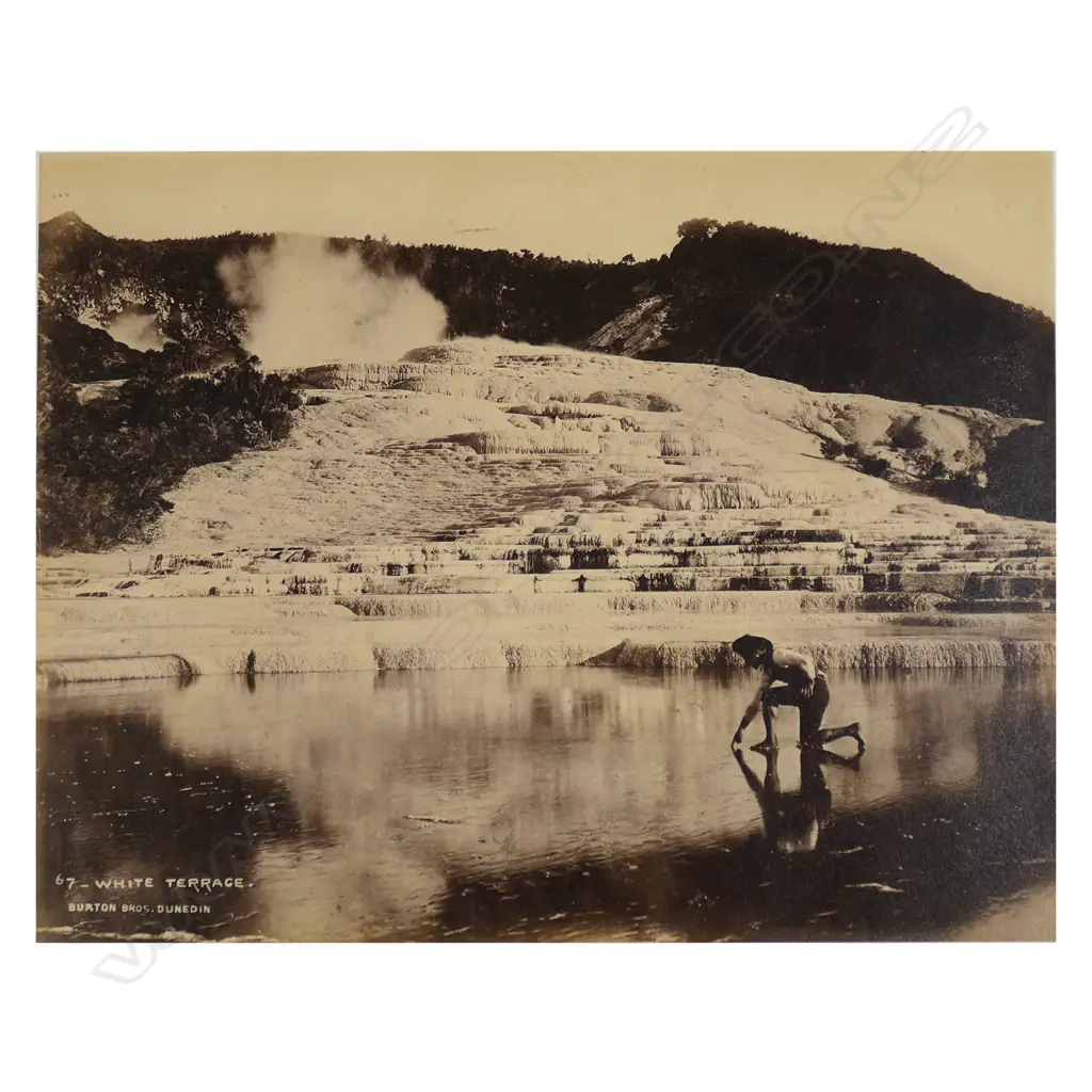 A 19thC large format 19thC Burton Bros. albumen photographic print 'WHITE TERRACE' Image 1++