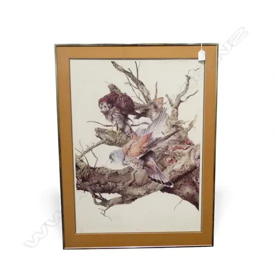 RAYMOND CHING, KESTRALS, EDITION PRINT 180/850, 850x490mm