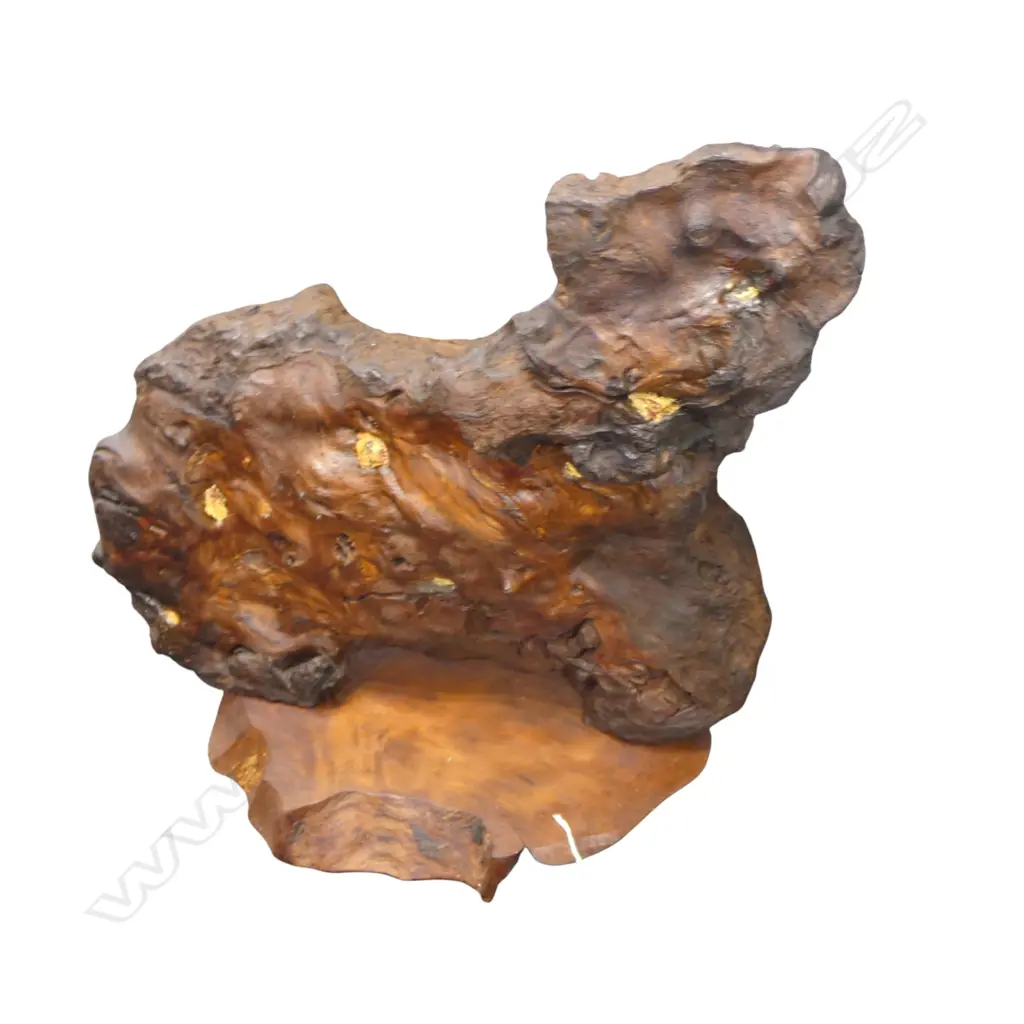 SWAMP KAURI SCULPTURE H.600mm Image 1++