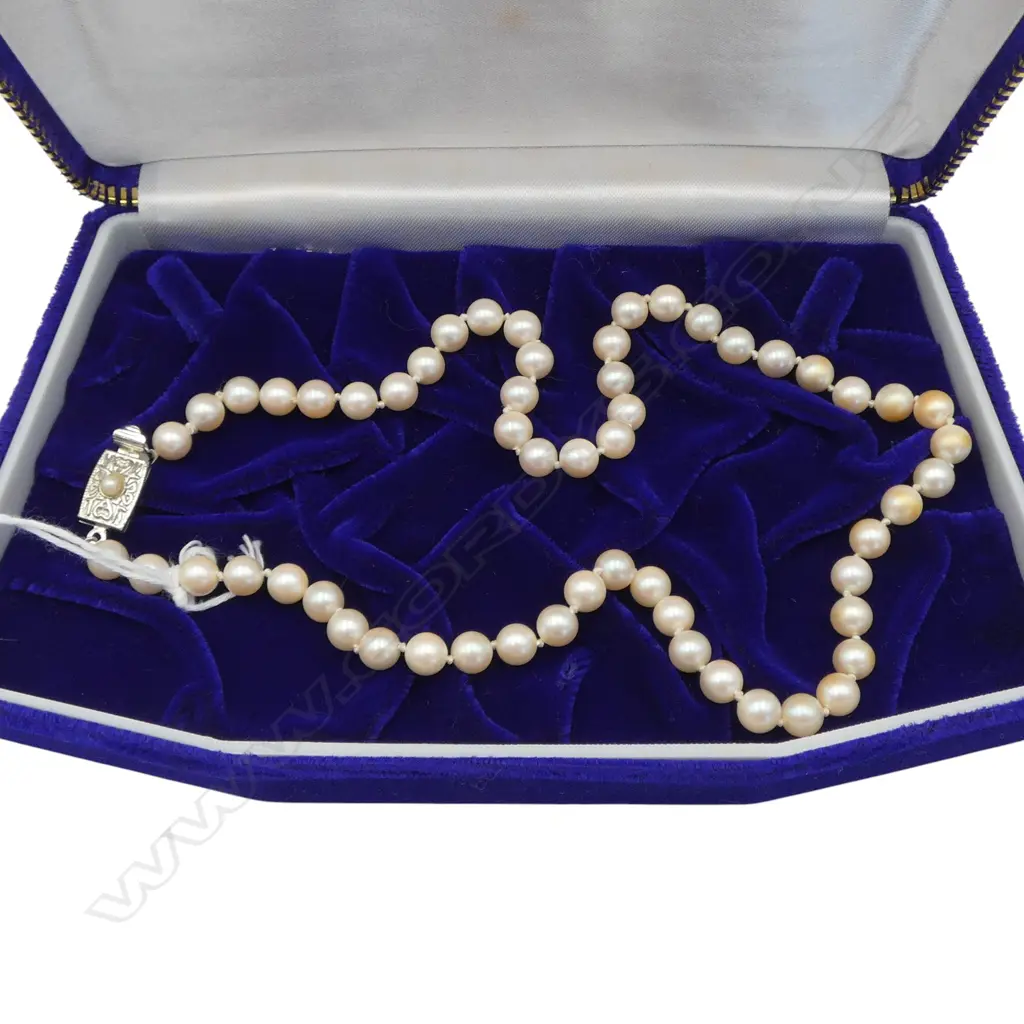 PEARL NECKLACE w. SILVER CLASP L.425mm IN NISHIMOTO CASE Image 1++