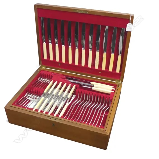 12 PLACE IVORINE 'BONE' HANDLED CUTLERY CANTEEN W.470mm