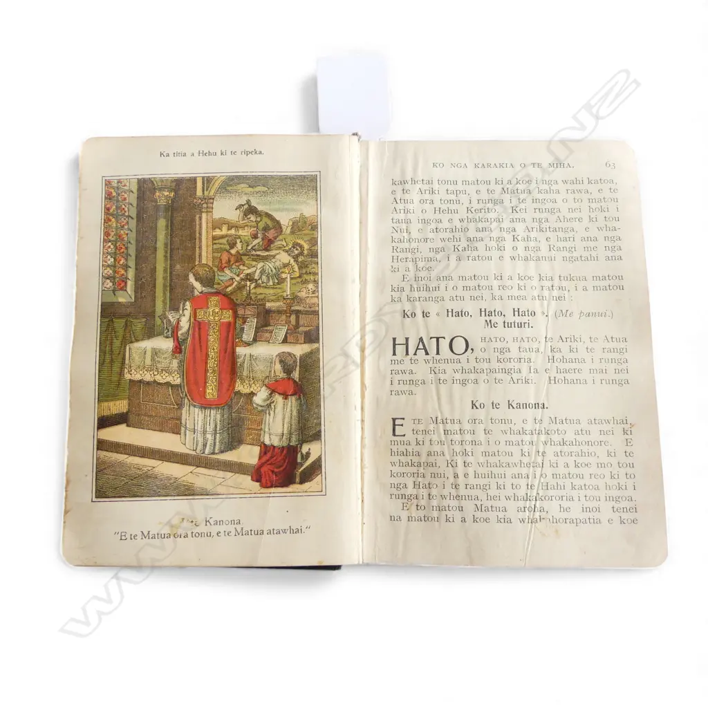 ANTIQUE small MAORI BIBLE 'KOTE KAIARAHI KI TE ORANGA TONUTANGA' Image 1++