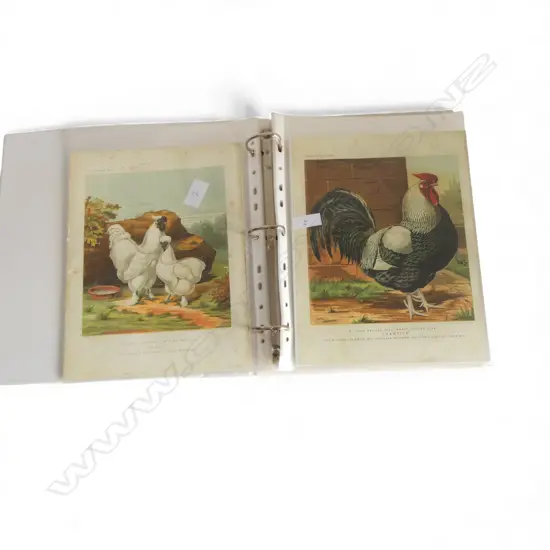 FOLIO OF VINTAGE COCKRELL PRINTS 